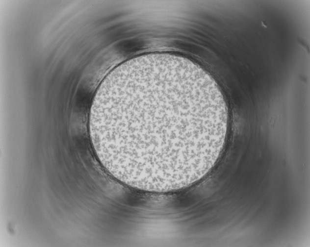 X0000103971273200810171916