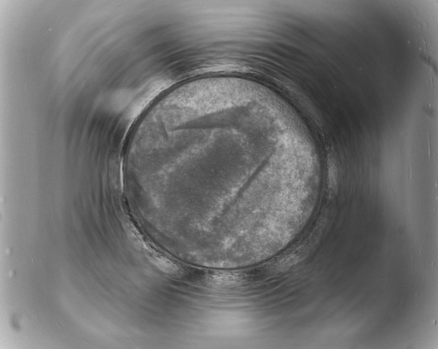 X0000103971274200810171916