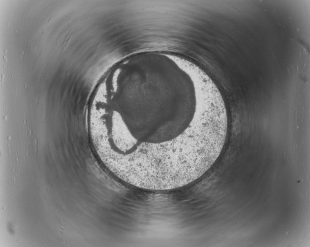 X0000103971275200810171916