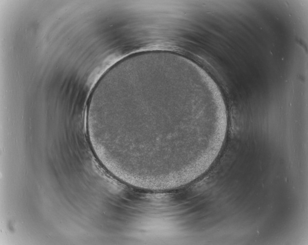 X0000103971276200810171916