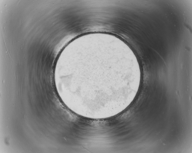 X0000103971277200810171916