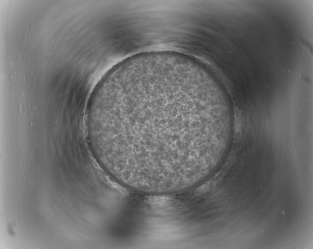 X0000103971278200810171916