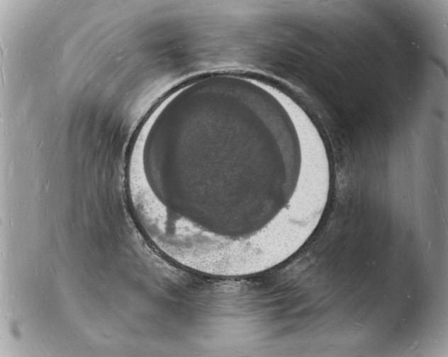 X0000103971279200810171916