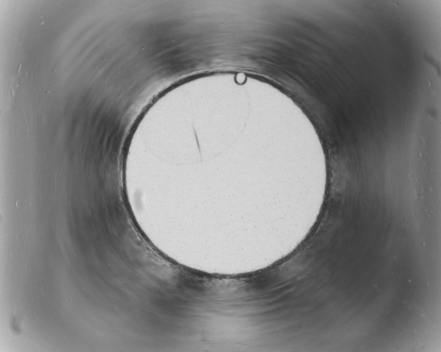 X0000103971280200810171916