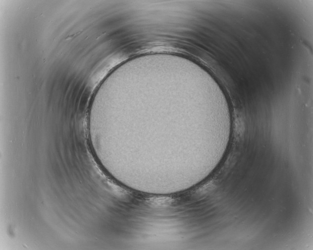 X0000103971282200810171916