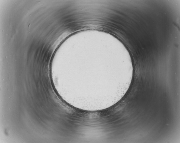 X0000103971283200810171916