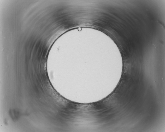 X0000103971284200810171916