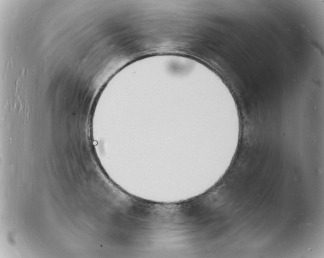 X0000103971285200810171916