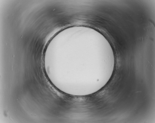 X0000103971286200810171916