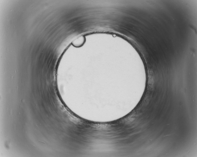 X0000103971287200810171916