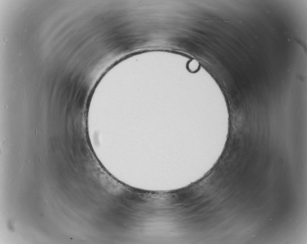 X0000103971288200810171916