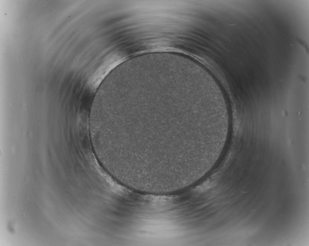 X0000103971289200810171916