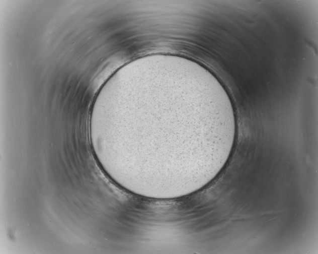 X0000103971290200810171916