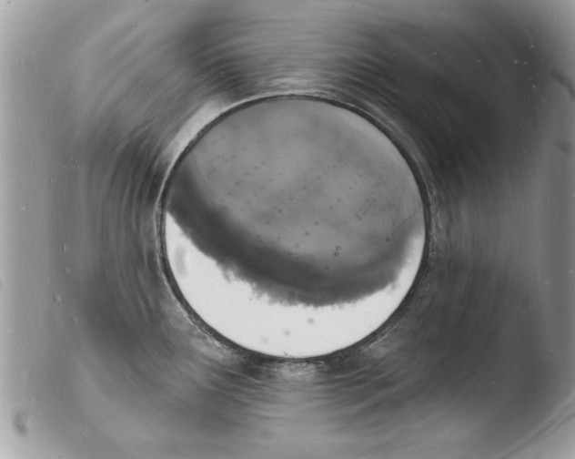 X0000103971291200810171916