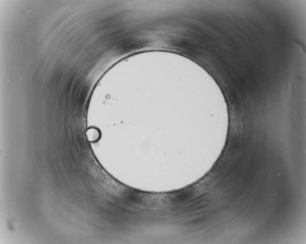 X0000103971292200810171916