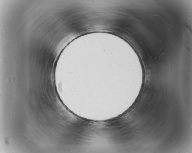 X0000103971293200810171916