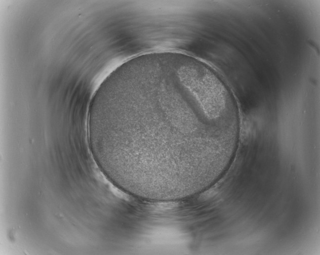 X0000103971294200810171916