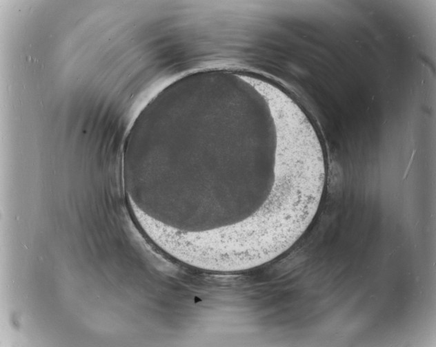 X0000103971295200810171916