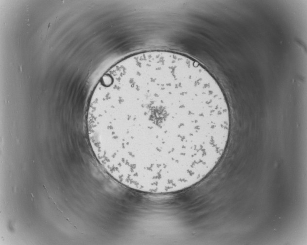 X0000103971296200810171916