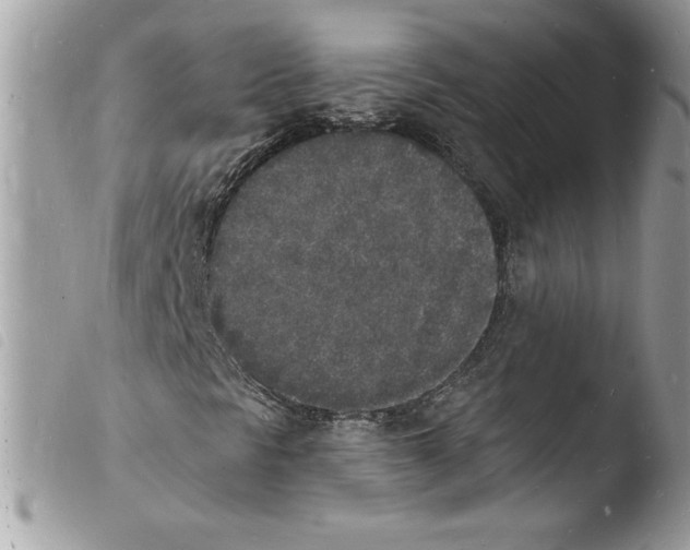 X0000103971297200810171915