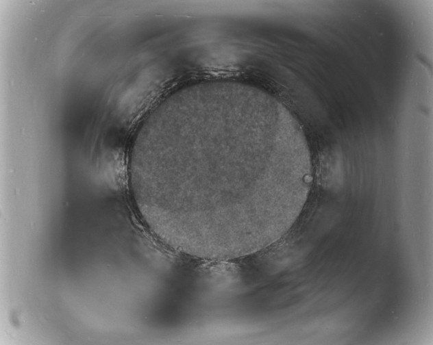 X0000103971298200810171915