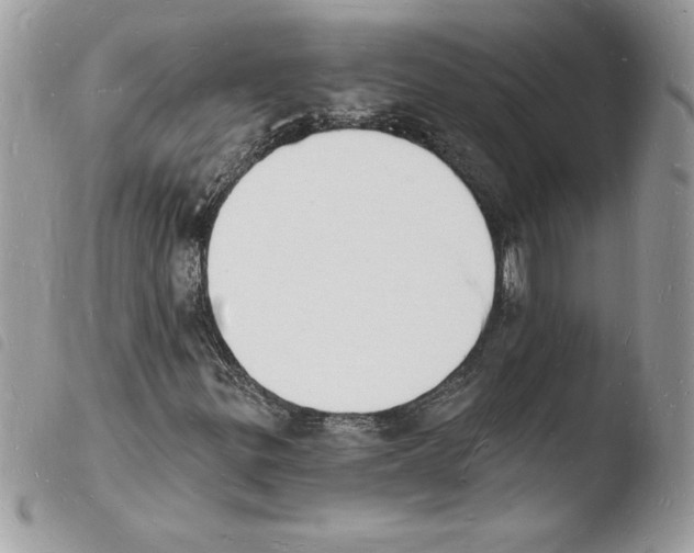 X0000103971299200810171915