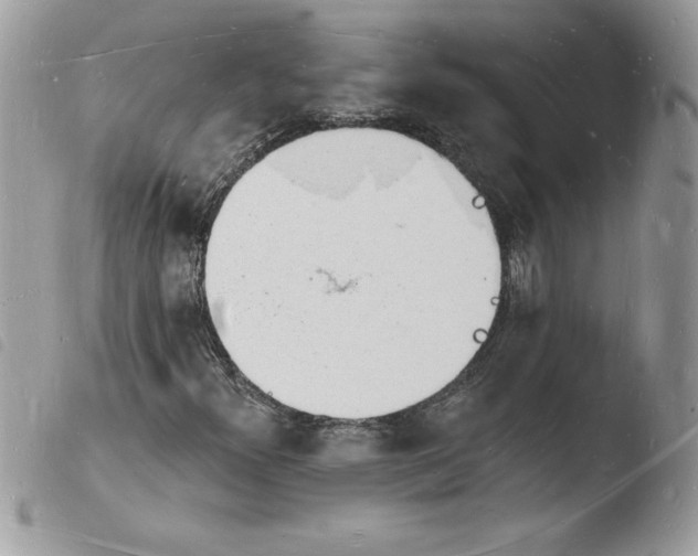 X0000103971300200810171915