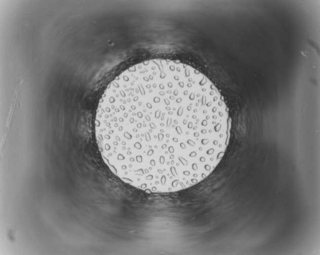 X0000103971301200810171915