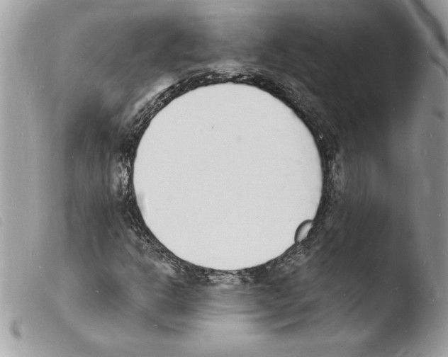 X0000103971302200810171915