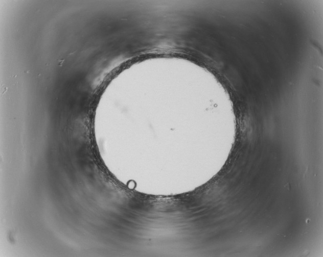 X0000103971304200810171915