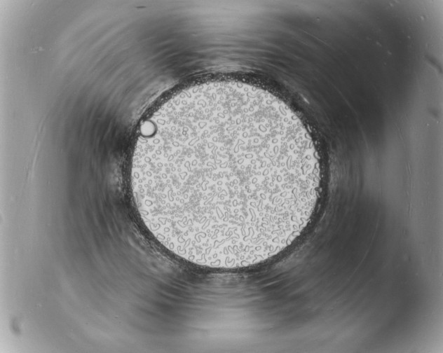 X0000103971305200810171915