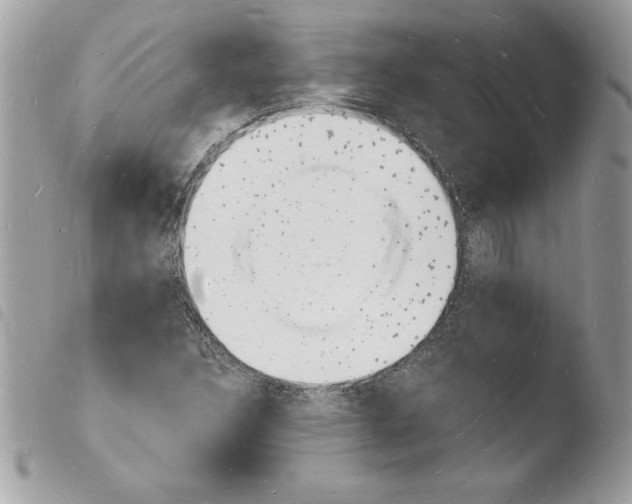 X0000103971308200810171915