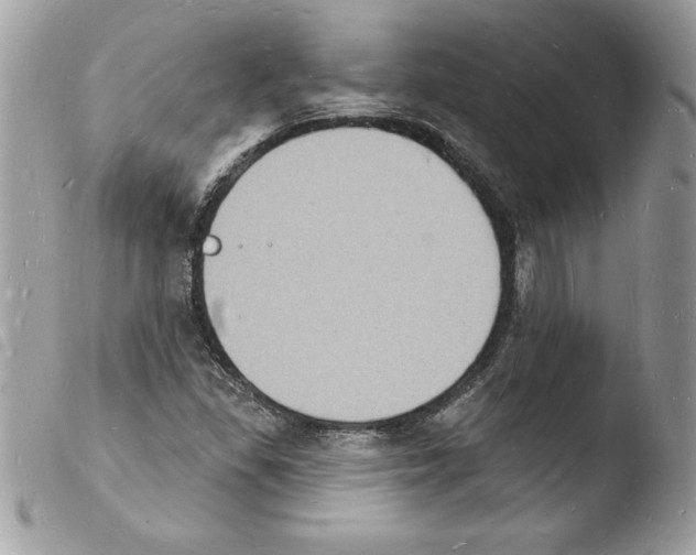 X0000103971309200810171915