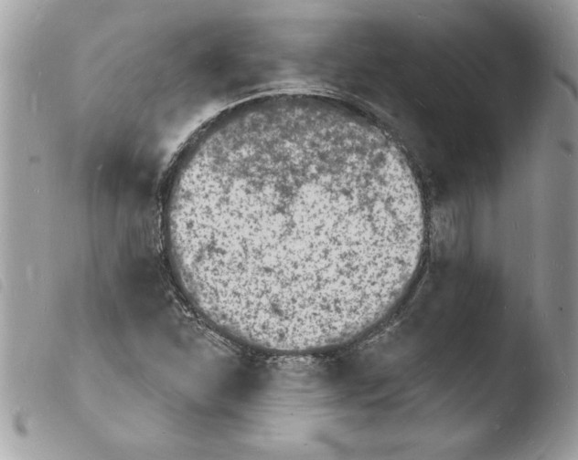 X0000103971310200810171915