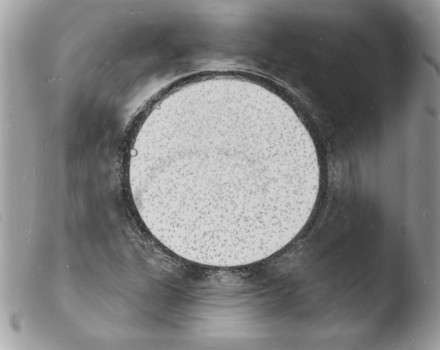 X0000103971311200810171915