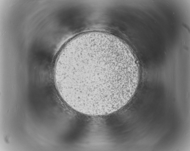 X0000103971312200810171915