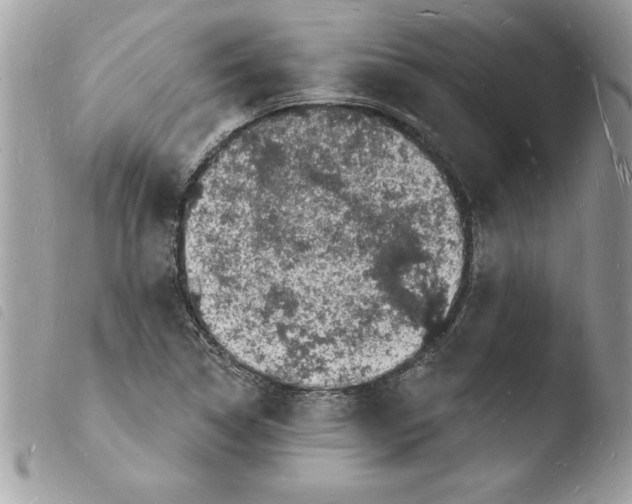 X0000103971314200810171915