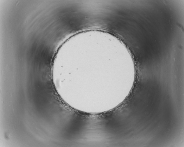 X0000103971316200810171915