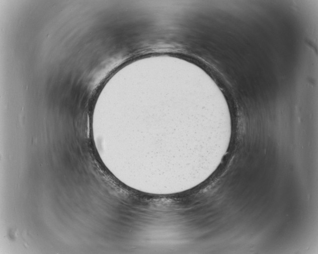 X0000103971317200810171915