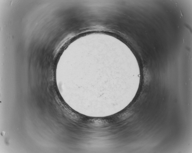 X0000103971318200810171915