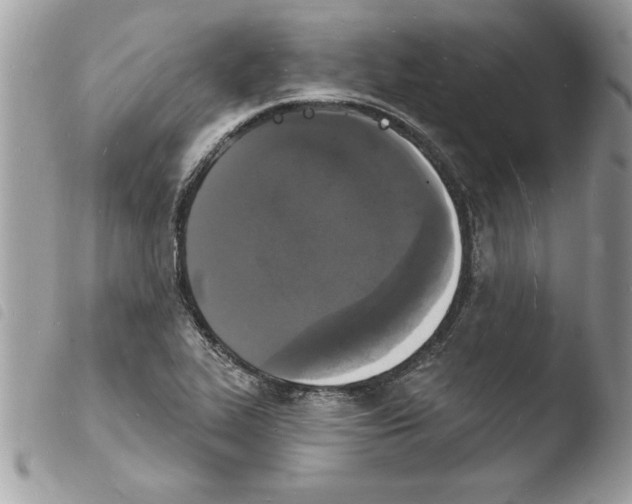 X0000103971319200810171915