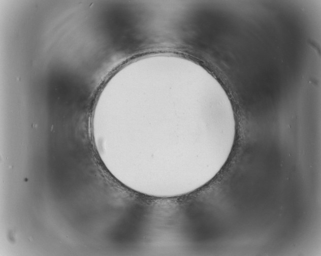 X0000103971320200810171915