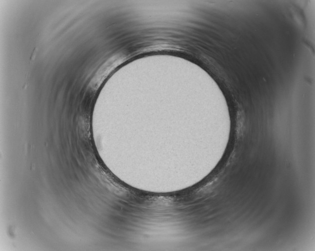 X0000103971321200810171915