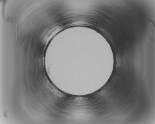 X0000103971322200810171915