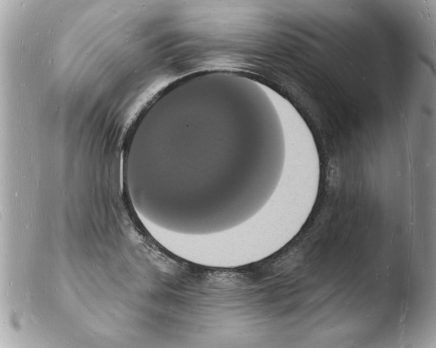 X0000103971323200810171915