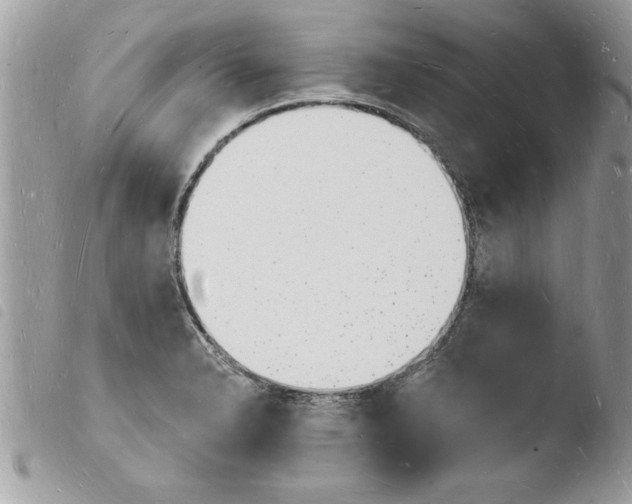 X0000103971326200810171916