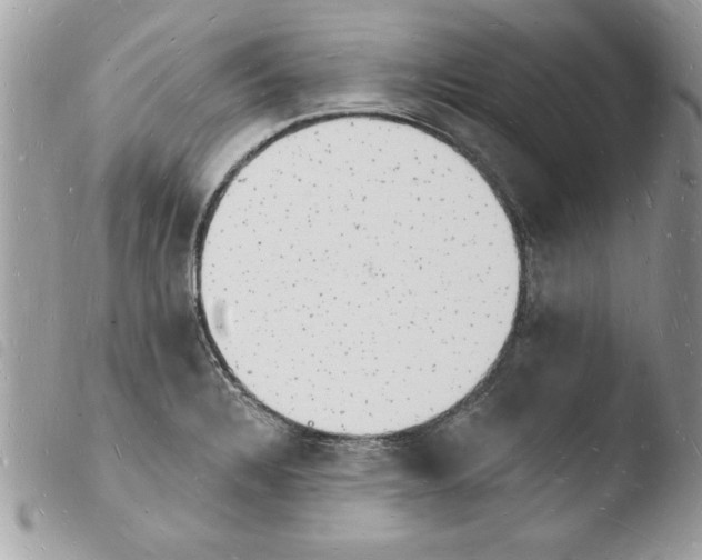 X0000103971328200810171916