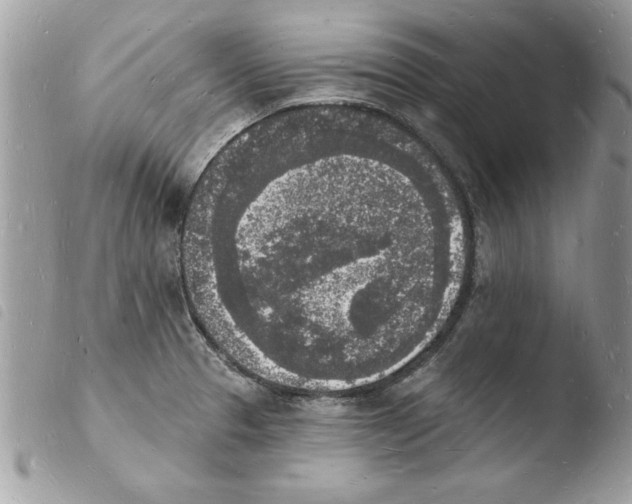 X0000103971329200810171916