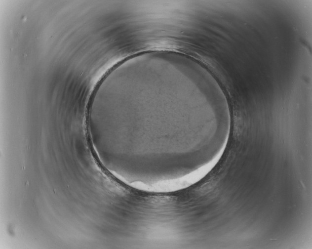 X0000103971331200810171916