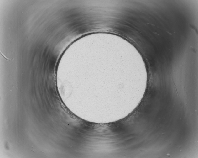 X0000103971332200810171916